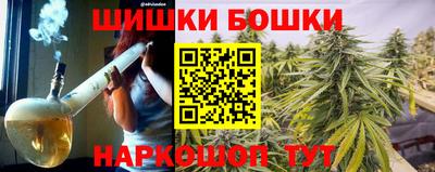 гидра Новодвинск