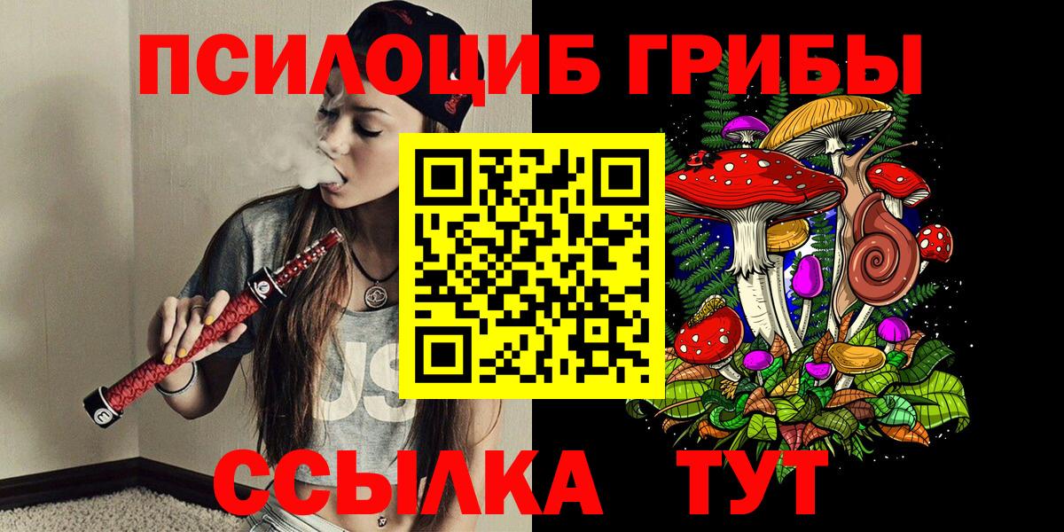 Тайшет  Галлюциногенные грибы Cubensis  Вход с VPN  Псилоцибиновые грибы Psilocybine cubensis 