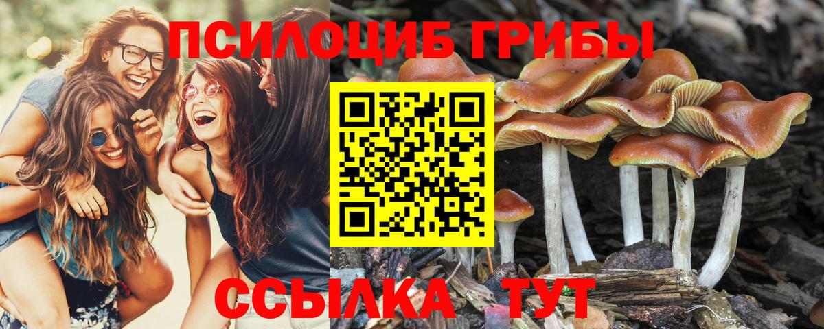 NBOMe Тайшет